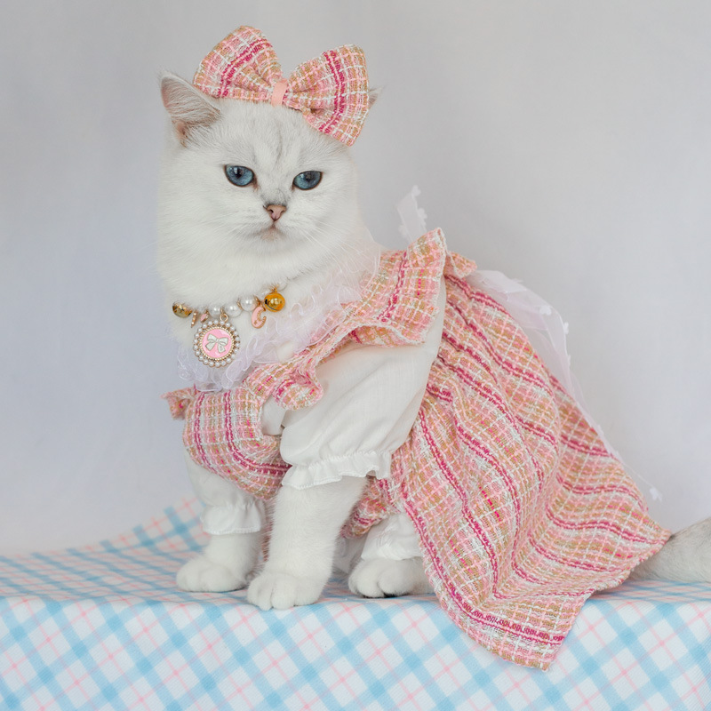 Baju Hewan Baju Hewan