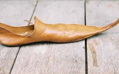 Mengapa Sepatu Crakows Begitu Sangat populer