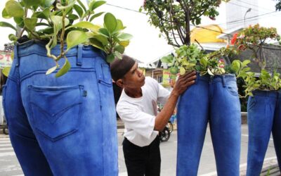 Memanfaatkan Pakaian Bekas untuk Media Tanam